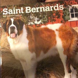 2019 Saint Bernards Calendar